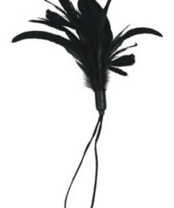 Sportsheets Pleasure Feather - Black