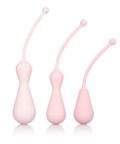 Inspire Weighted Silicone Kegel Training Kit - Pink