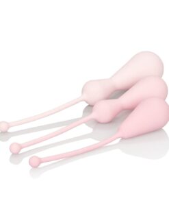 Inspire Weighted Silicone Kegel Training Kit - Pink