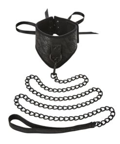 Sincerely Lace Posture Collar & Leash