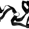 S&M Wrist & Ankle Restraints