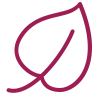 Leaf icon representing the fragrance-free formula