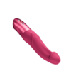 Fun Factory – Mr. Boss – G-Spot Vibrator – Raspberry – AAA Battery