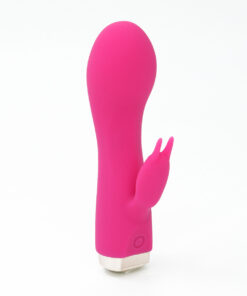 Skins Minis - The Bijou Bunny