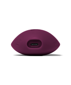 DAME – Pom Flexible Vibrator – Plum
